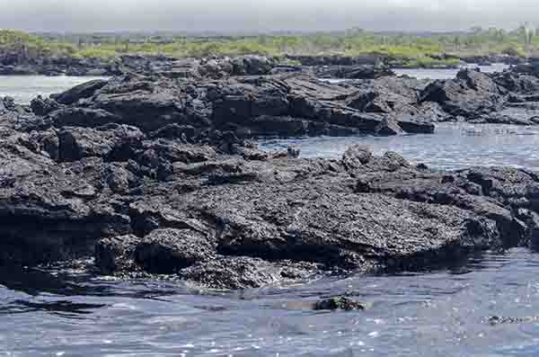 64 - Ecuador - islas Galapagos - isla Isabela